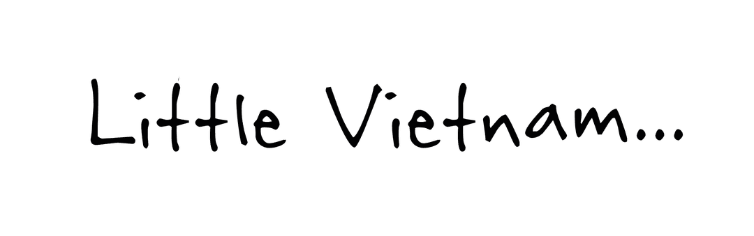 Little Vietnam...